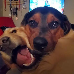 Meet your Posher, Whitlee